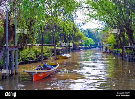 tigre delta argentina